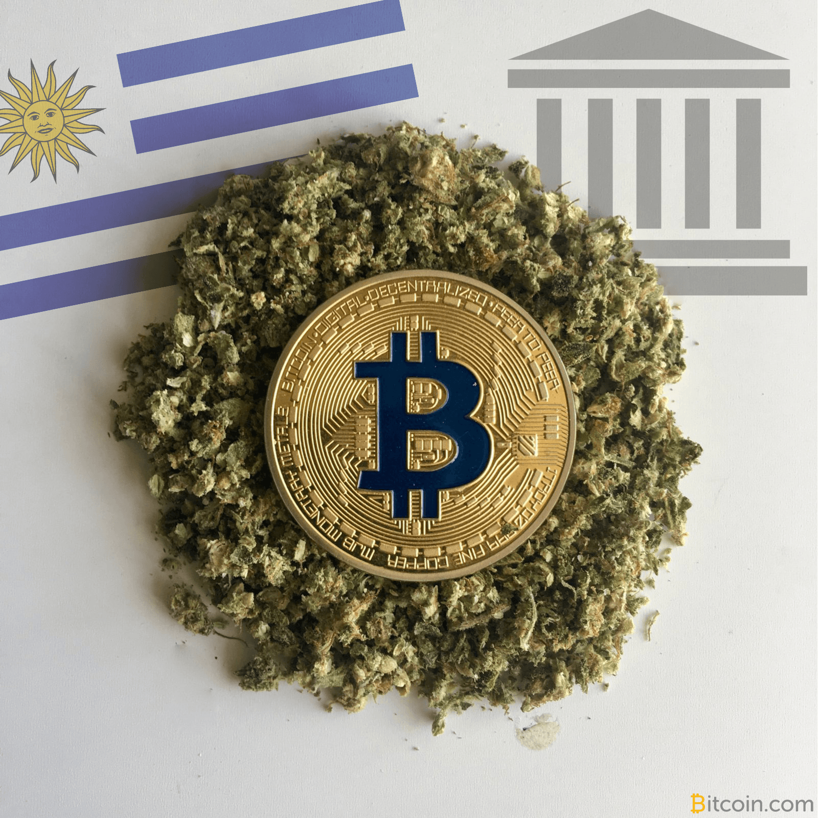 Uruguay Urged to Provide Services to Cannabusiness ā Or Bitcoin Will