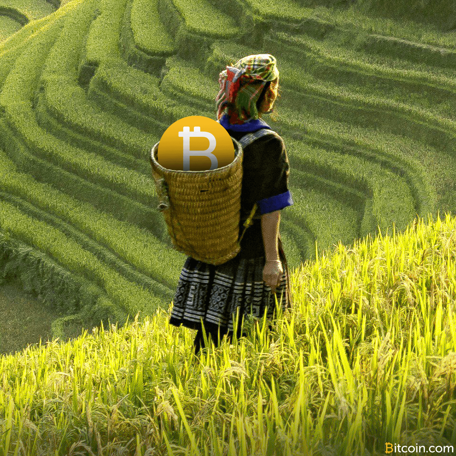 Vietnam Prepares to Analyze Legal Framework for Bitcoin