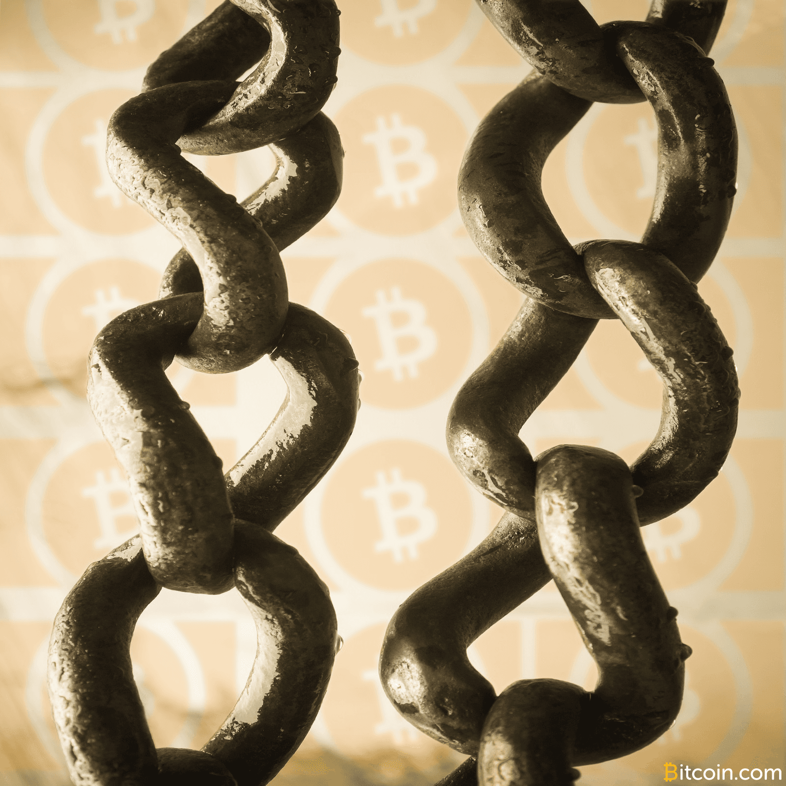 Bitcoin Cash Becomes the Longest Chain As Miners Toggle Between Profits