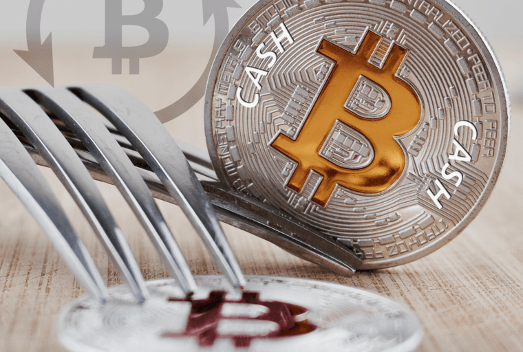 Fork Watch: Japanese Exchanges Embracing Bitcoin Cash Post-Fork