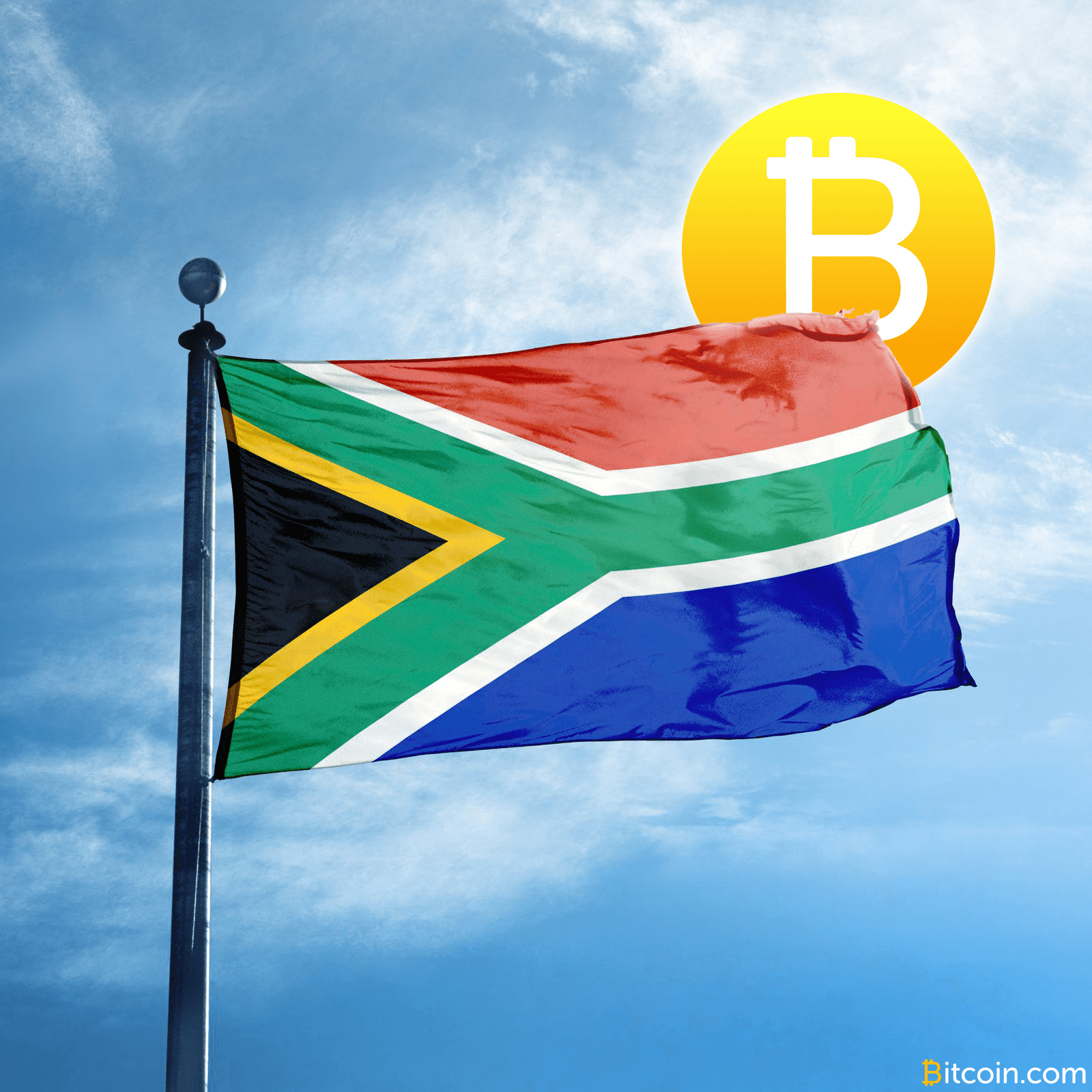 South African Officials Consider National Cryptocurrencies "Too Risky"
