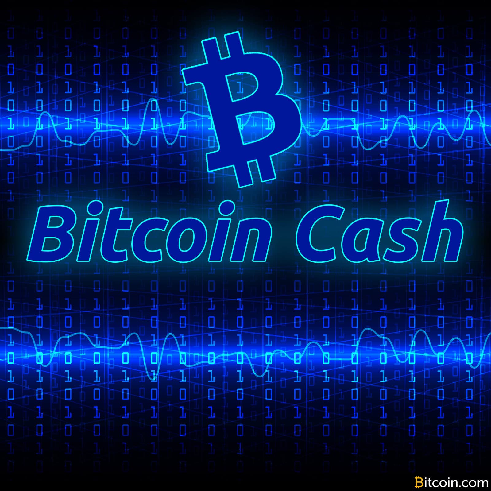 Lead Developer Amaury Séchet Discusses the Future of Bitcoin Cash