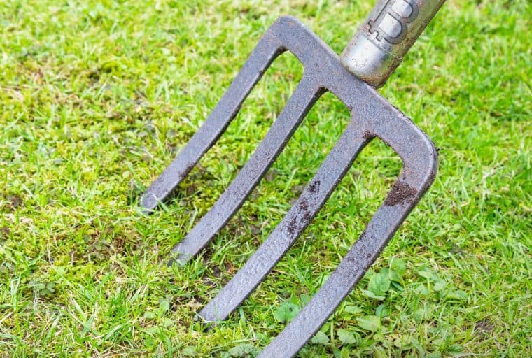 The Bitcoin Cash Network Continues to Grow With an Ambitious Roadmap