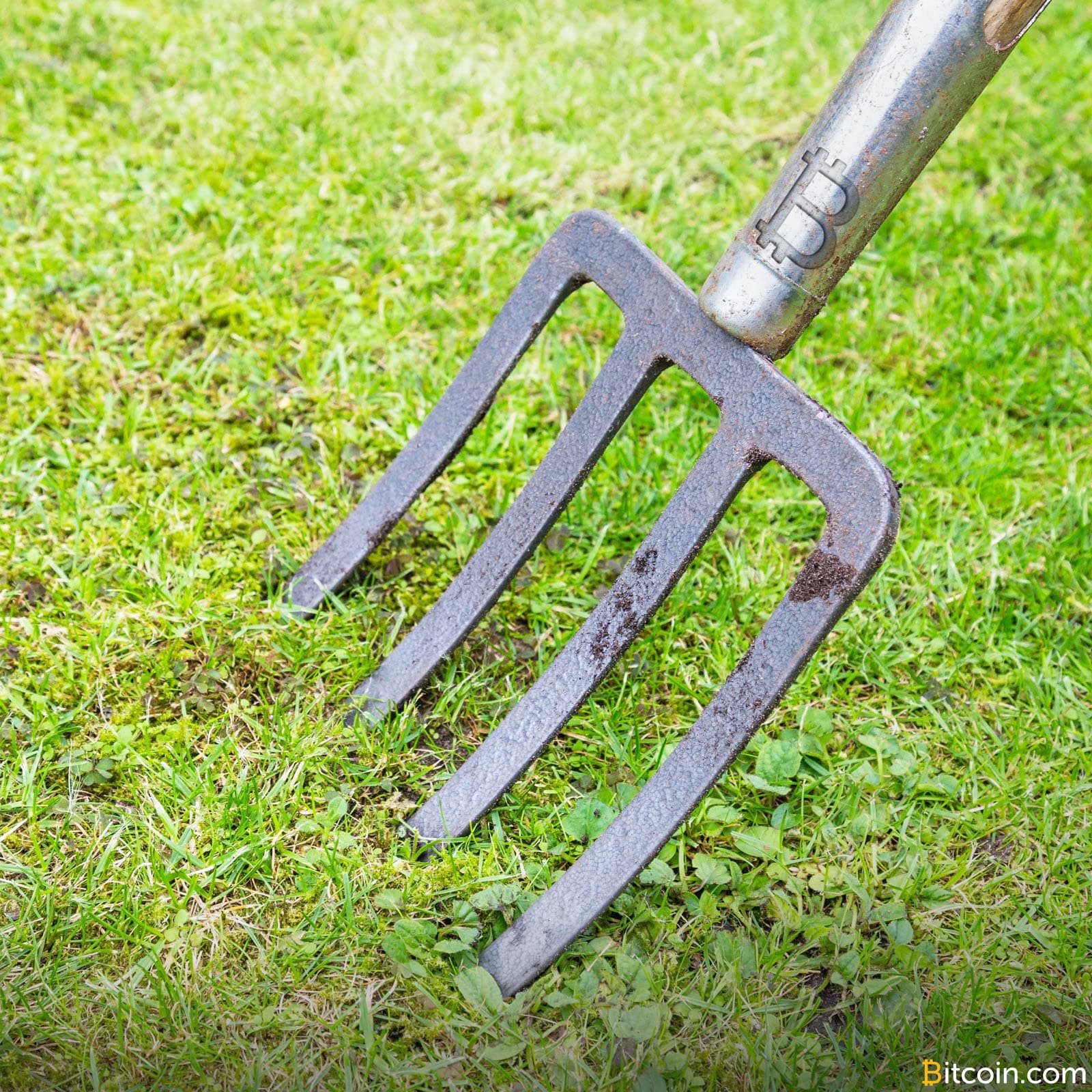 The Bitcoin Cash Network Continues to Grow With an Ambitious Roadmap