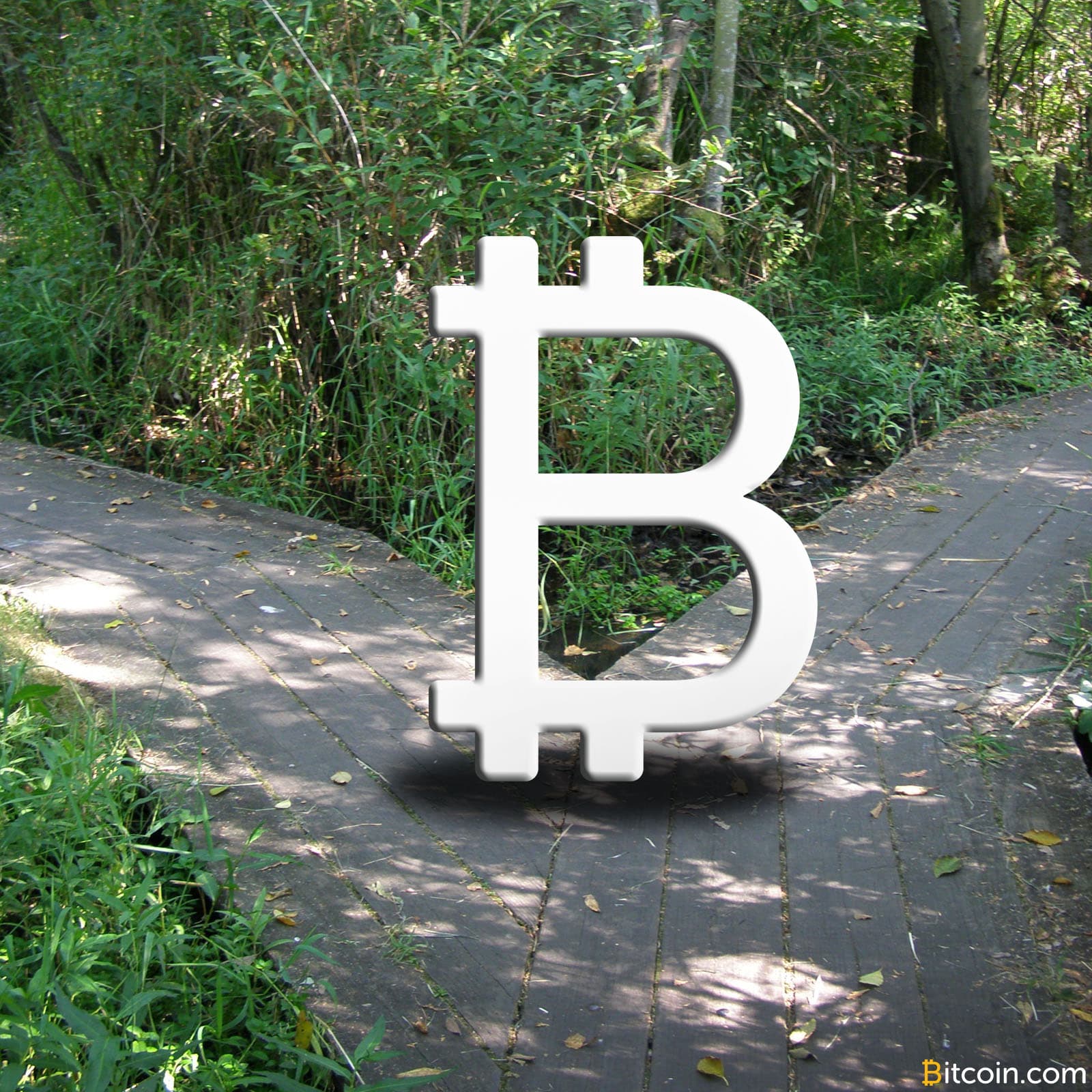 Bitcoin Hard Forks Mean Tax Complications, IRS Offers Little Help