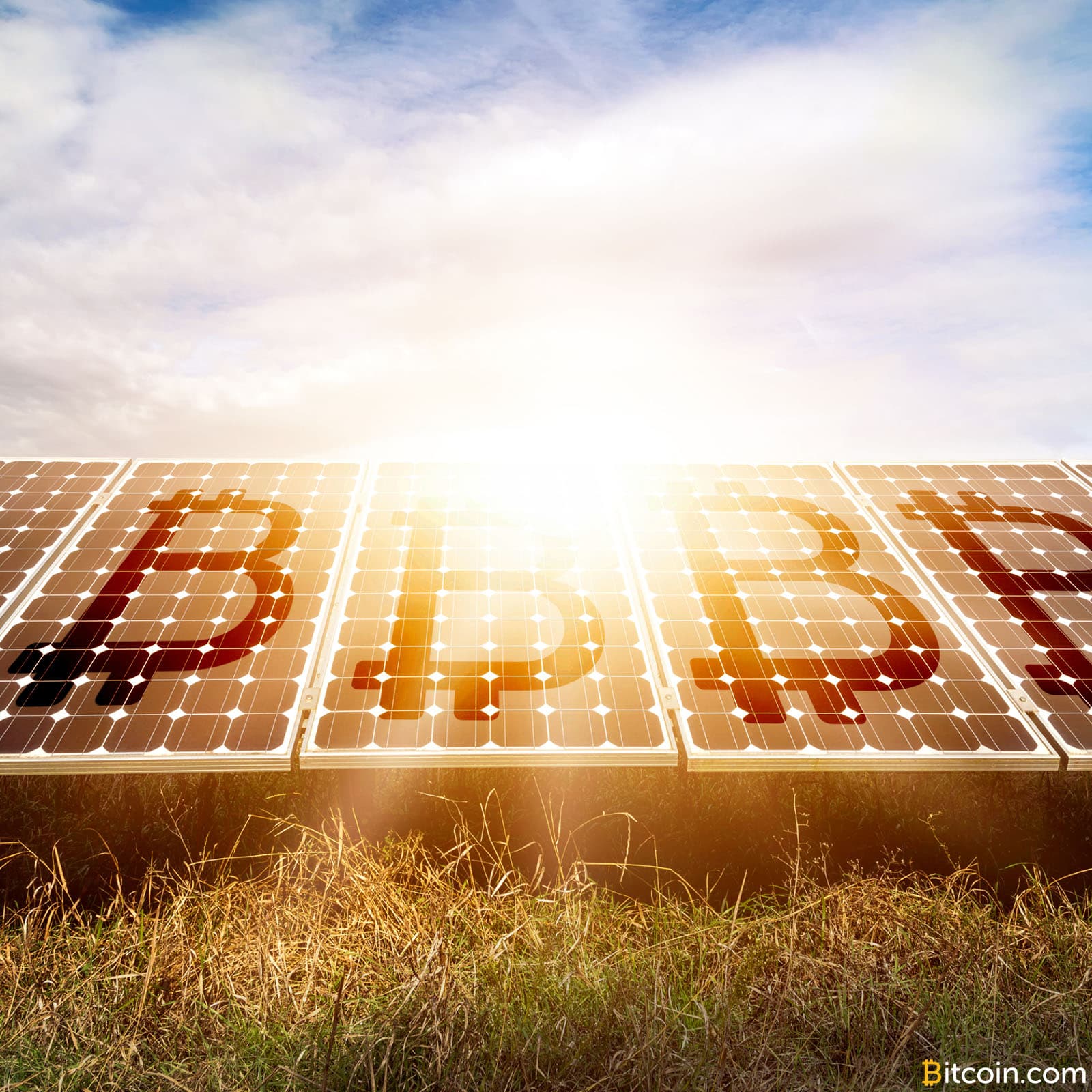 Japanese Renewable Energy Provider Offers Low Flat-Rate Electricity for Crypto Miners