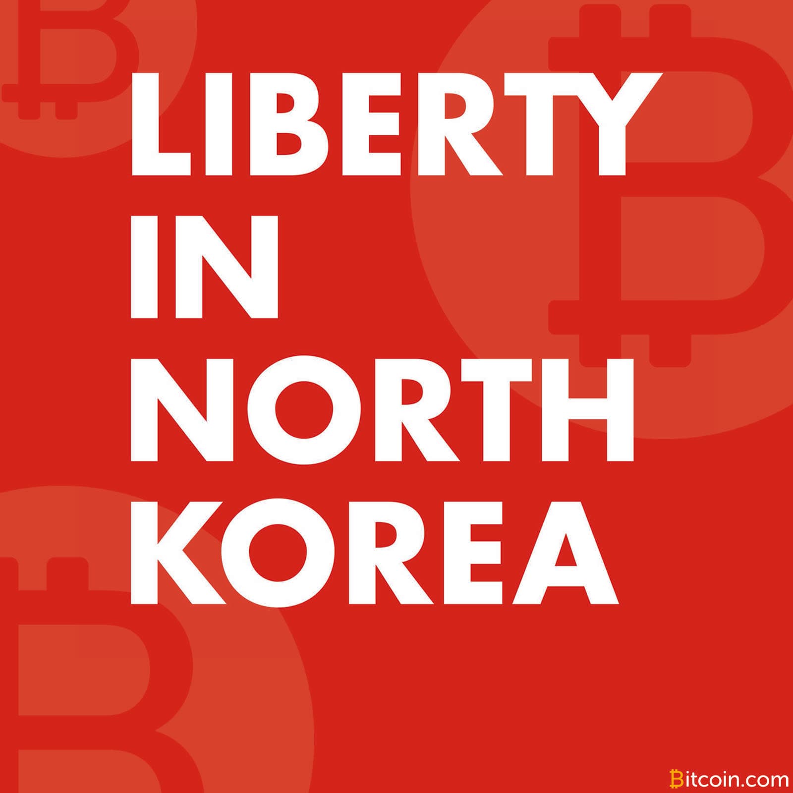Liberty in North Korea: Bitcoin.com, /r/GoldAndBlack Team Up for Worthy Cause