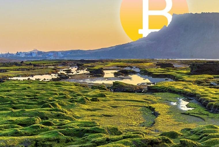 South Korean Crypto Community to Push Back Against ICO Ban