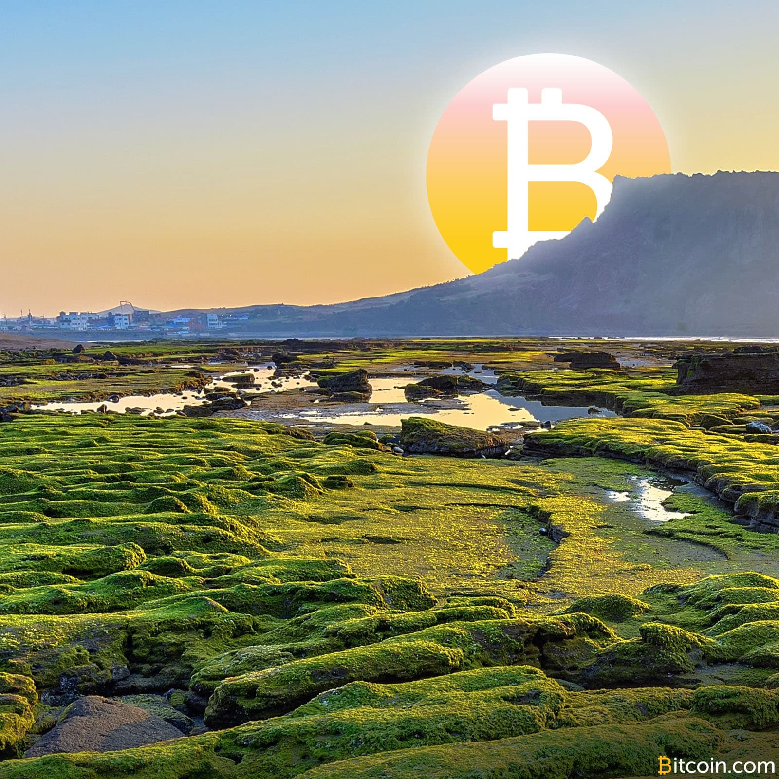 South Korean Crypto Community to Push Back Against ICO Ban