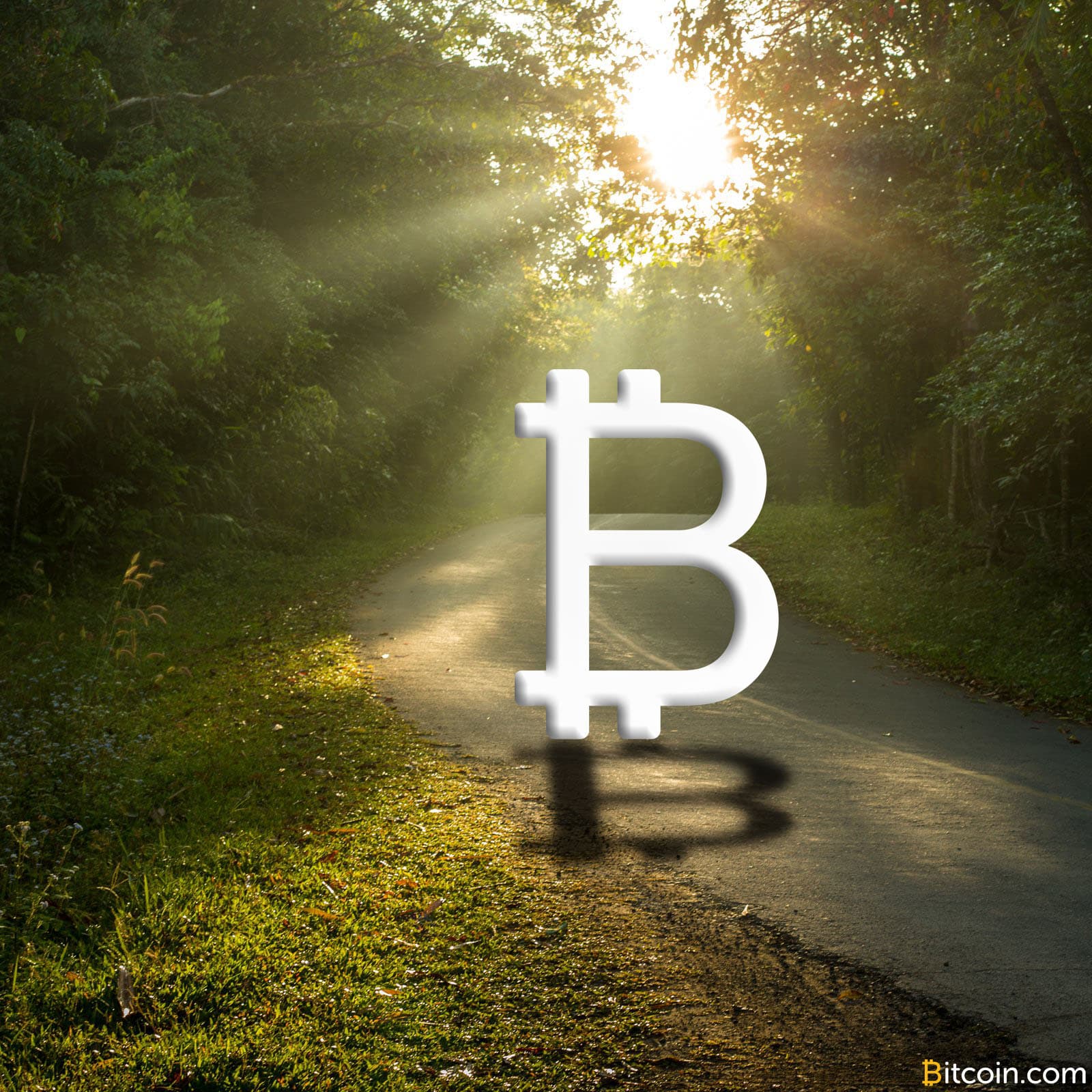 Bitcoin-Fueled Homeless Outreach Wins Appeal Against County Officials