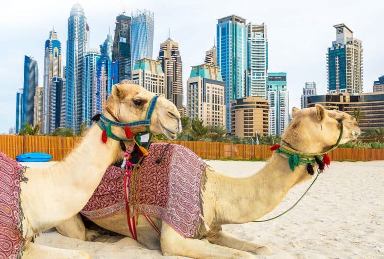 UAE-Based Investors Reveal Outlook for Bitcoin Markets