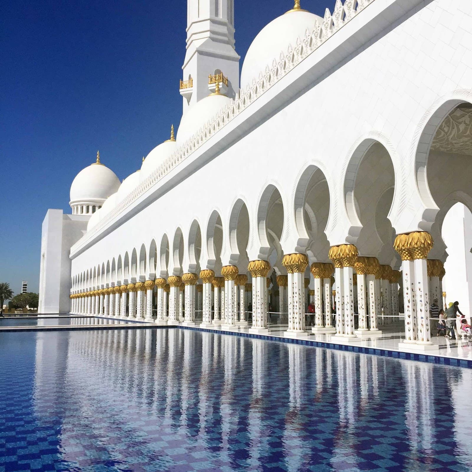 United Arab Emirates Fund CEO Throws Shade at JP Morgan's Jamie Dimon