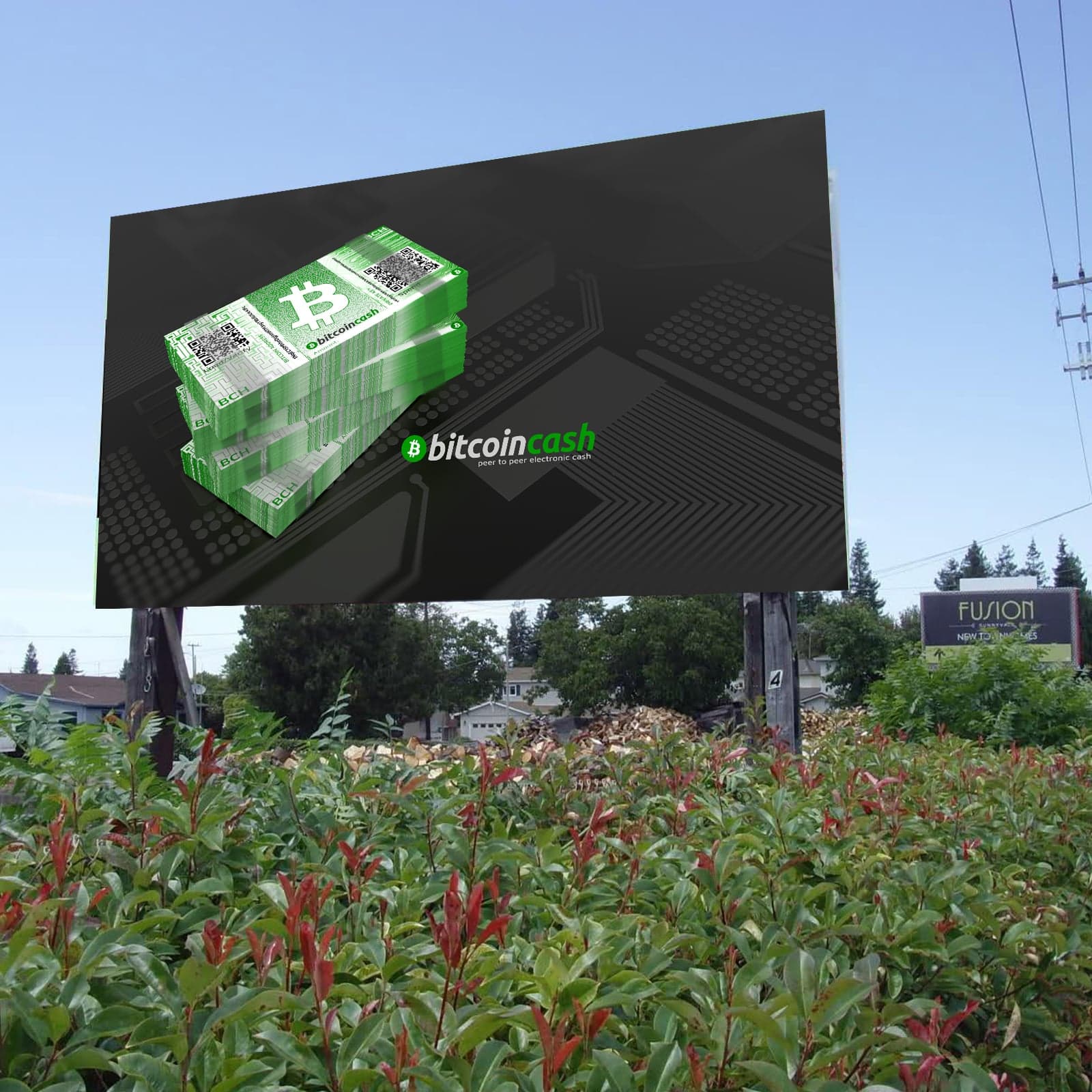 Bitpay Plans to Use Bitcoin Cash for Payment Invoices and Debit Loads