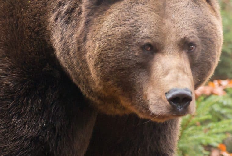 Thinking of Shorting Bitcoin Futures? GBTC Bears Nurse Big Losses