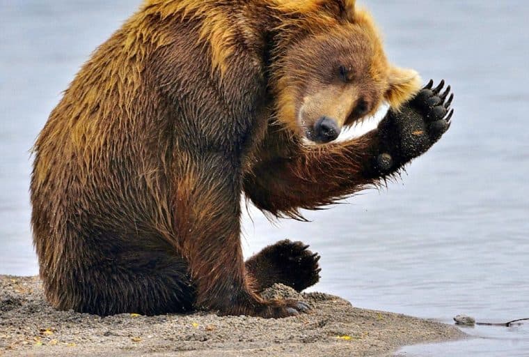 Cboe Bitcoin Contracts Slide 36 Percent as January Futures Expire