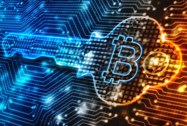 The Satoshi Revolution – Chapter 4: What Do You Have to Hide? Everything! (Part 1)