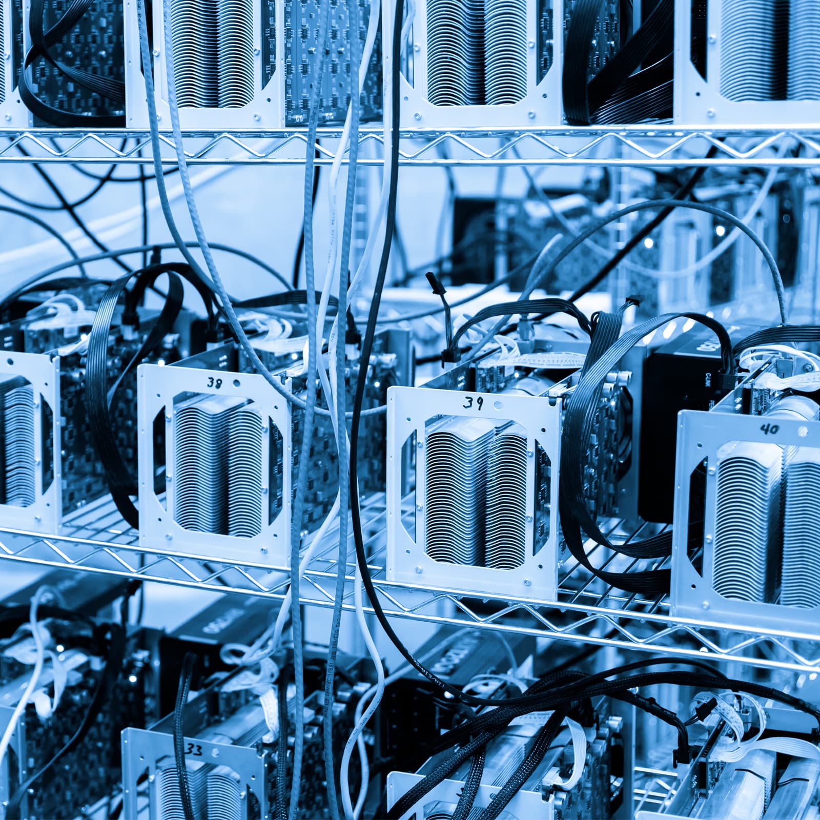 Calvin Ayre Launching Bitcoin Cash Mining Operations