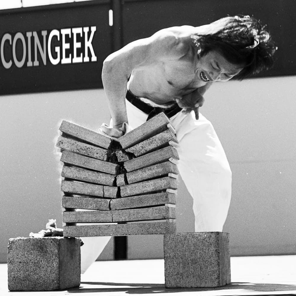 Coingeek Funds Terabyte Block Initiative for Bitcoin Cash With 3.6M Euro