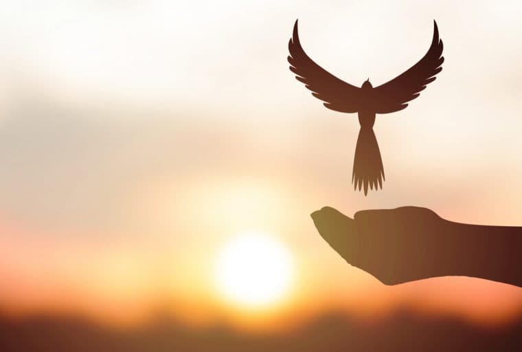 PR: BCShop.io Aids Ethereum Business Adoption