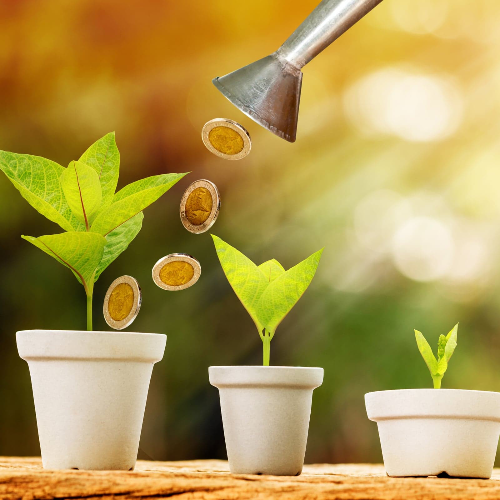 Openbazaar Raises $5M from Investors Including Bitmain