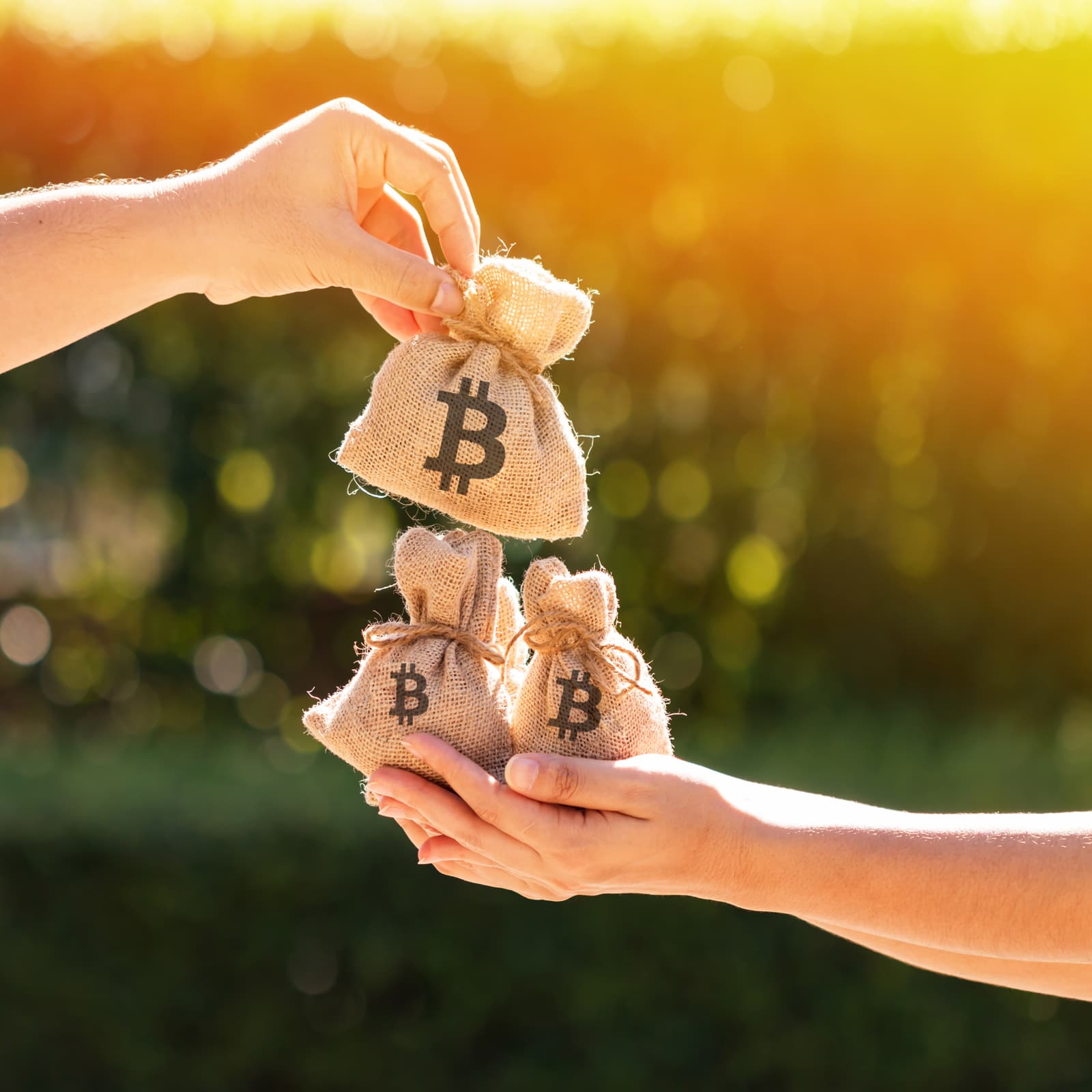 Crypto-to-Cash Lending is Growing Quite Popular These Days