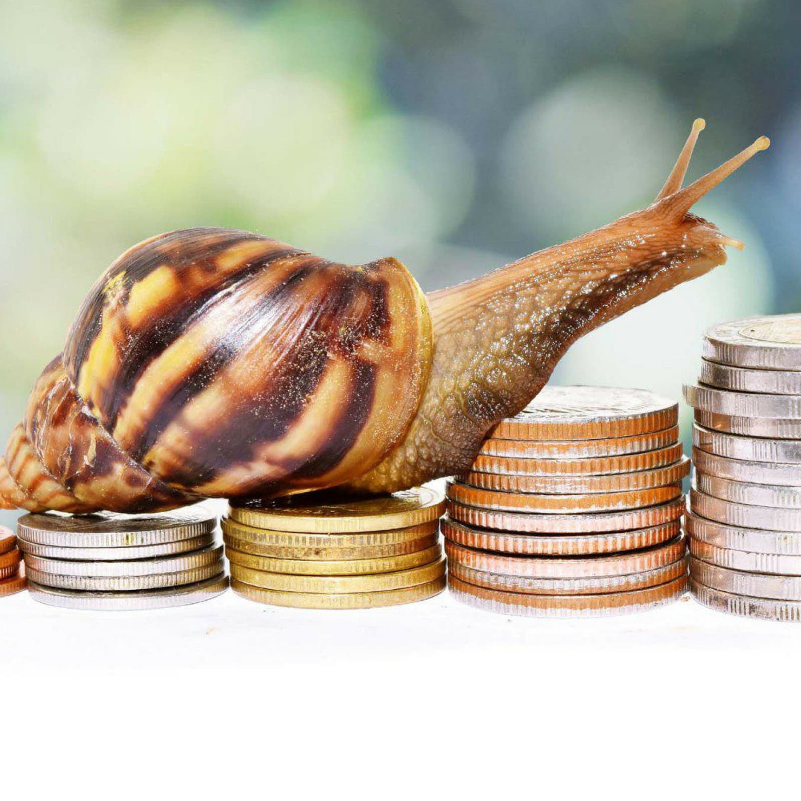 Global Data Report: Cryptocurrencies are Expensive, Slow, Unspendable, Cannot Scale