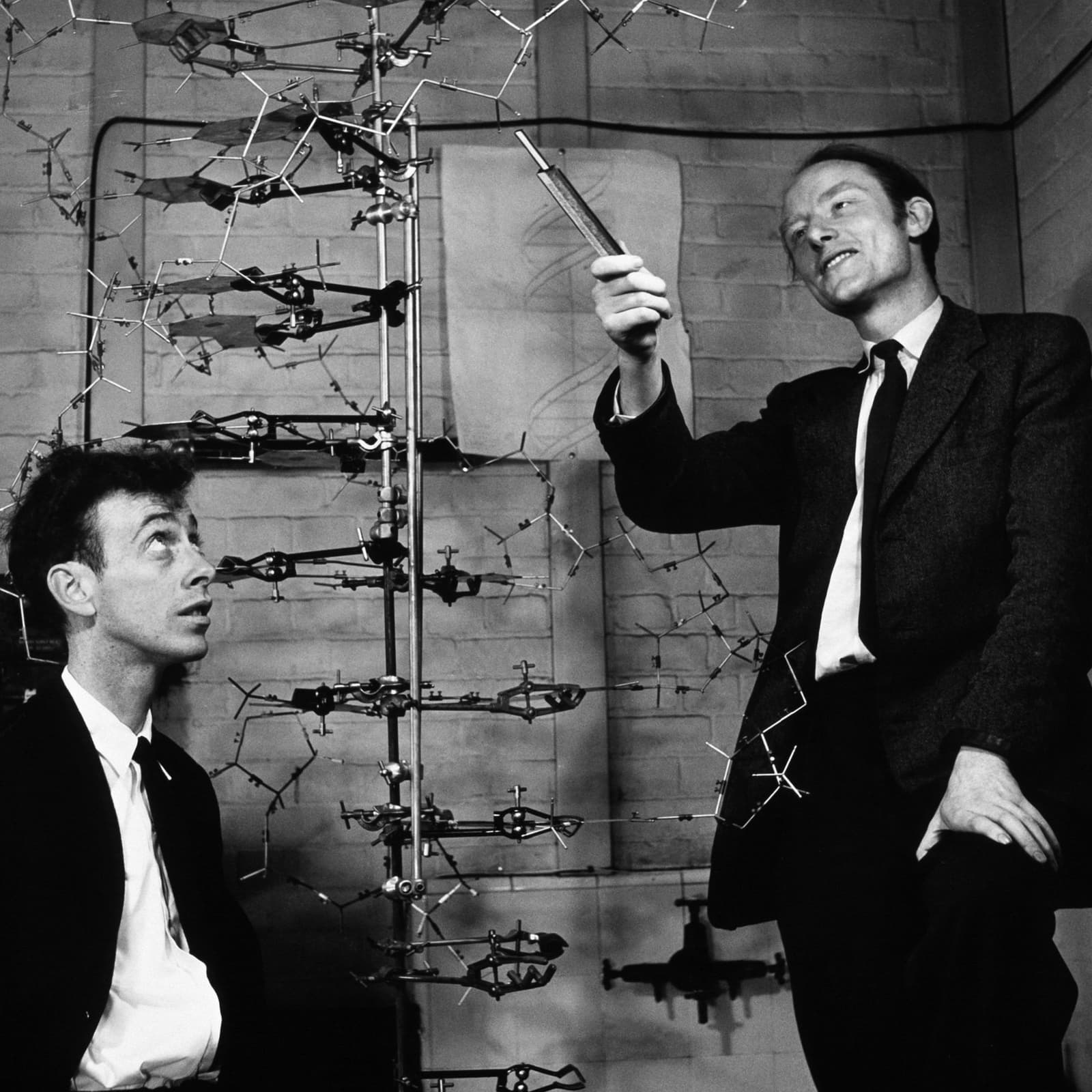 Bitcoin Cold Storage in DNA