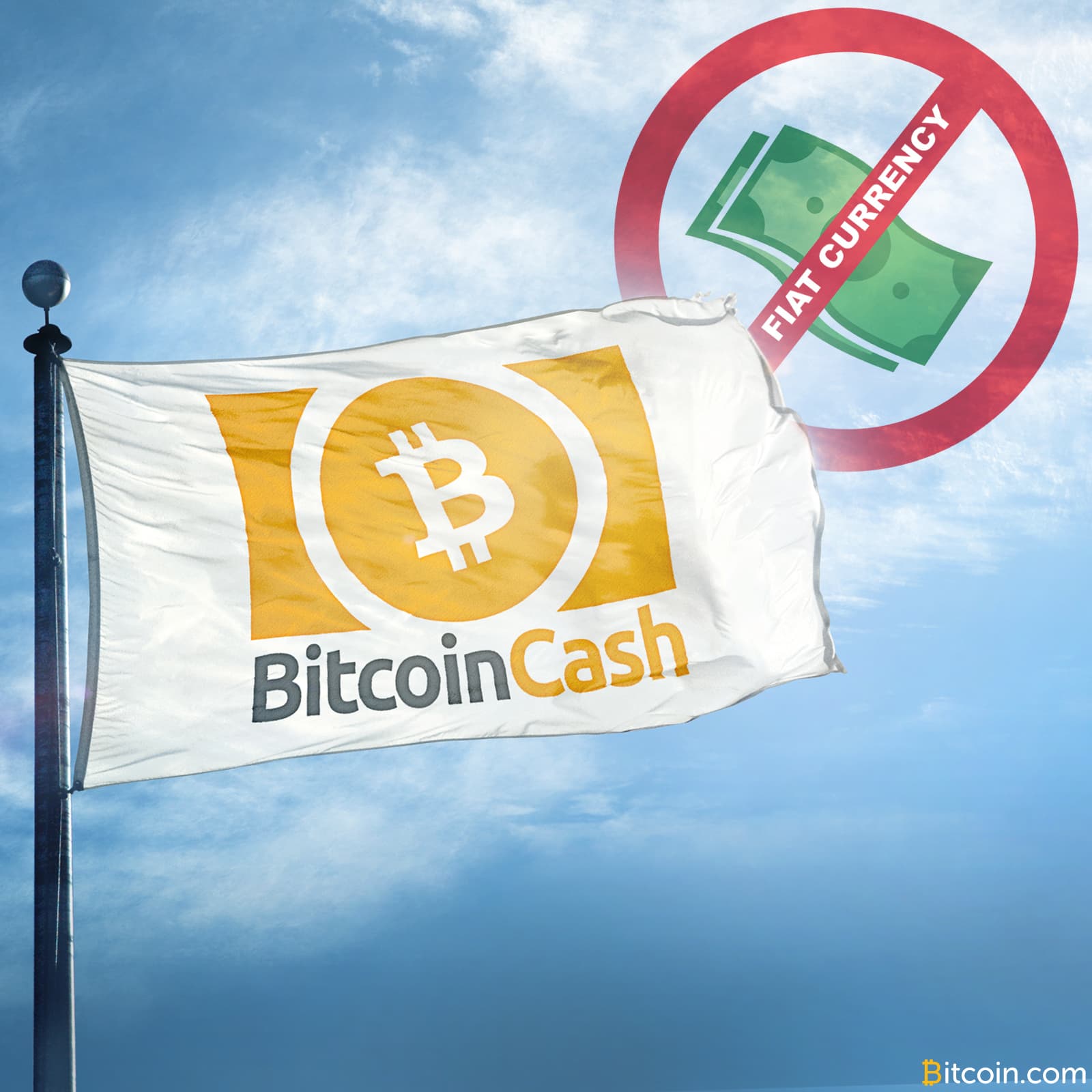 Raising the Dead: Is Bitcoin Cash Fiat Currency?