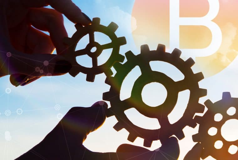 Holacracy: Governance in an Age of Innovation and Subversion