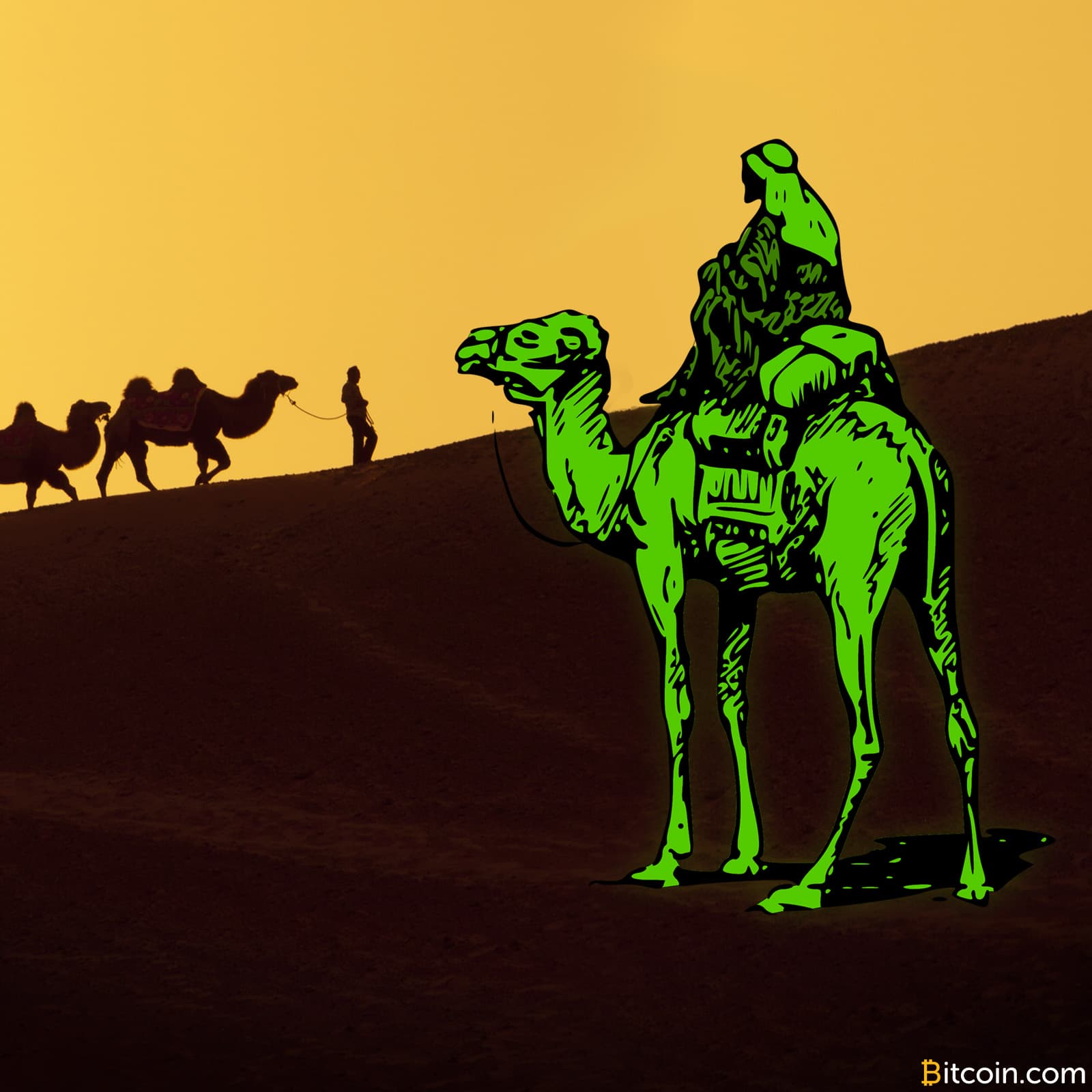 Silk Road Operator Libertas Pleads Guilty, Seeks Plea Deal