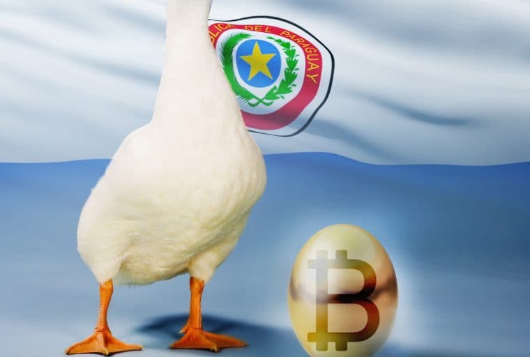 Paraguay to Provide Land for 'Golden Goose' Mining Project