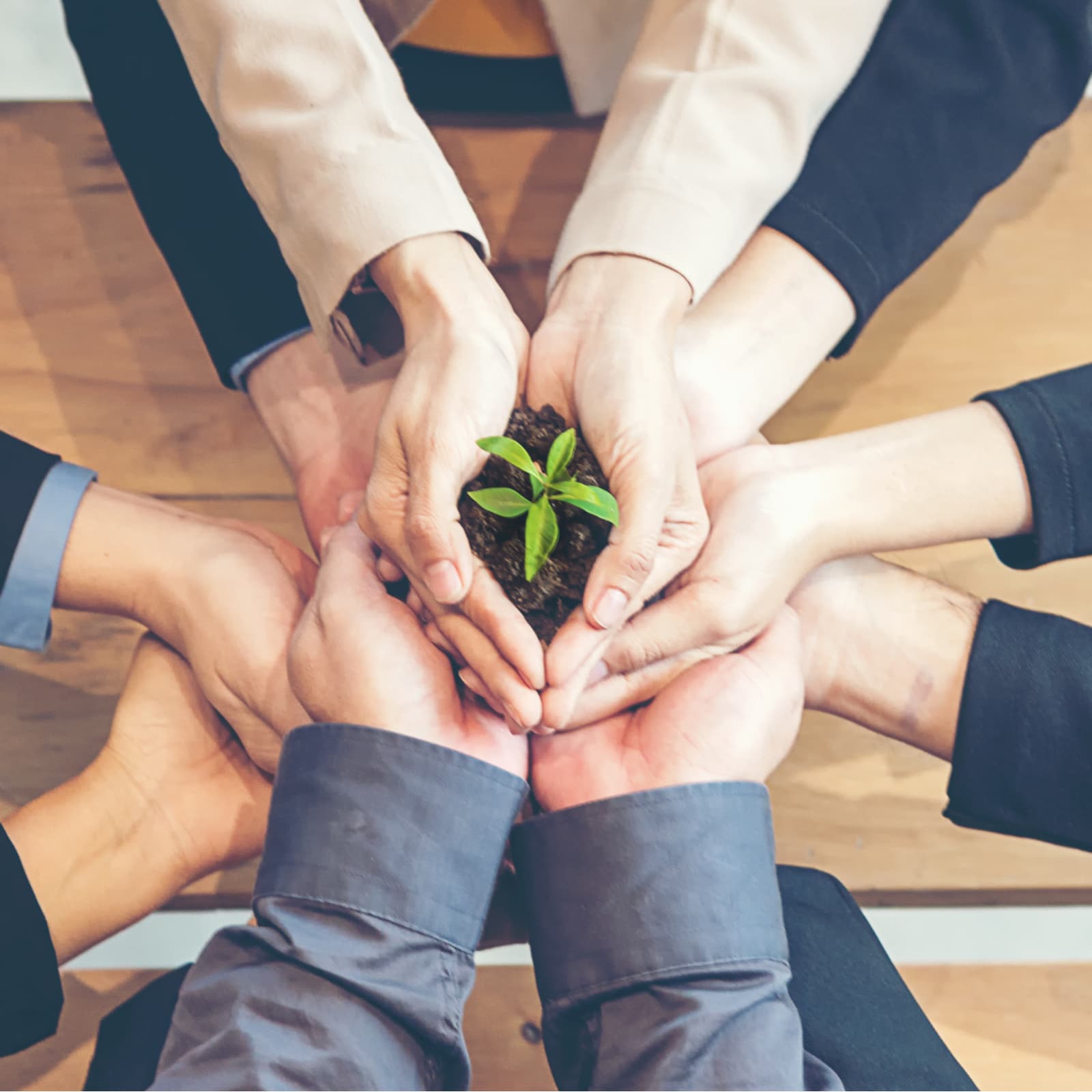 Novogratz: 'It Sucks to Build a Business in a Bear Market'