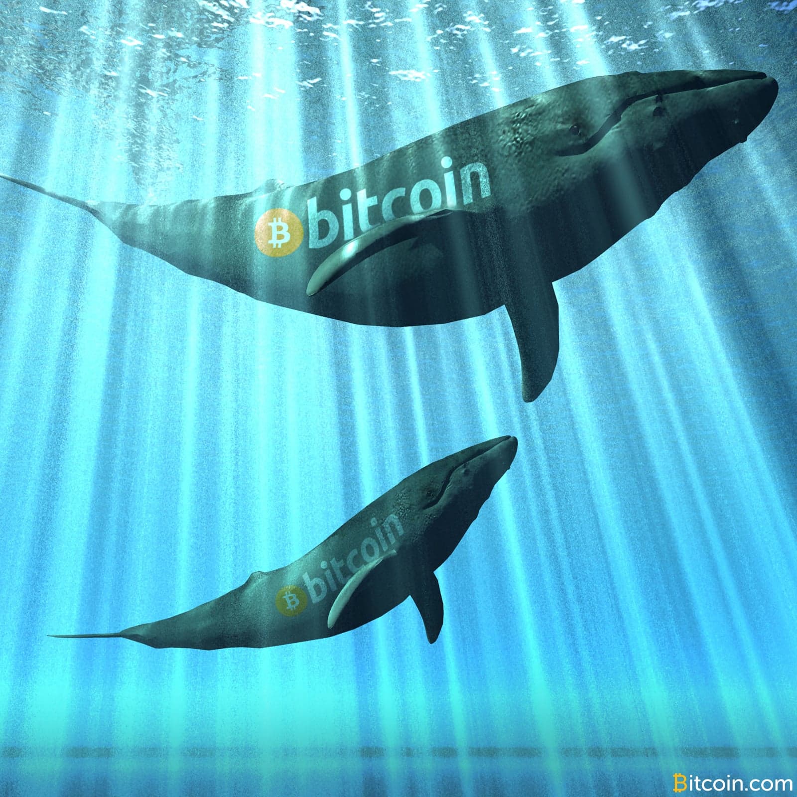 Previously Inactive Whales Are Moving Large Amounts of BTC