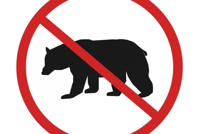 Former IMF Economist Mark Dow Closes $14K BTC Short