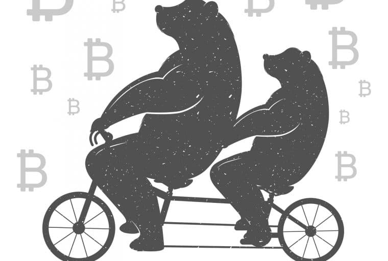 November Volume Rankings: Bearish Momentum Drives Surge in Trade