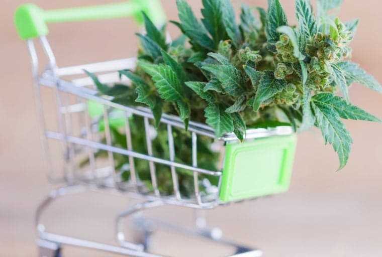 Canada Encourages Cannabis Sector to Transact Discreetly