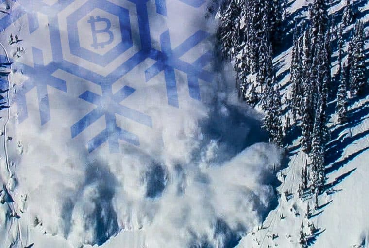 BCH Devs Discuss Securing Instant Transactions With the Avalanche Protocol