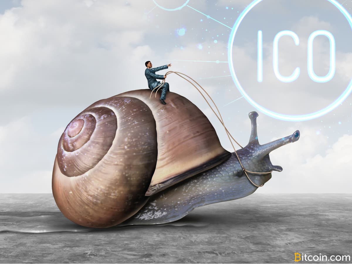 ICOs Produce Slow Start to 2019