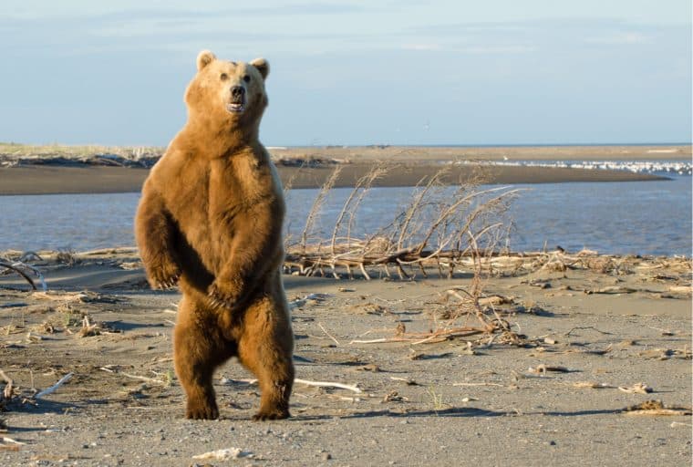 Current Crypto Bear Market Set to Become the Longest Ever