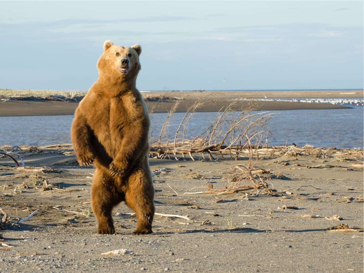 Current Crypto Bear Market Set to Become the Longest Ever