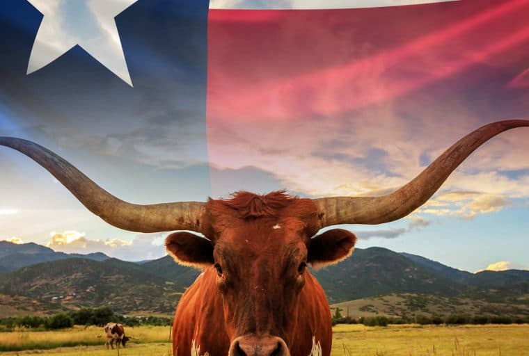 Texas Updates Regulatory Guidance Regarding Cryptocurrency Activities