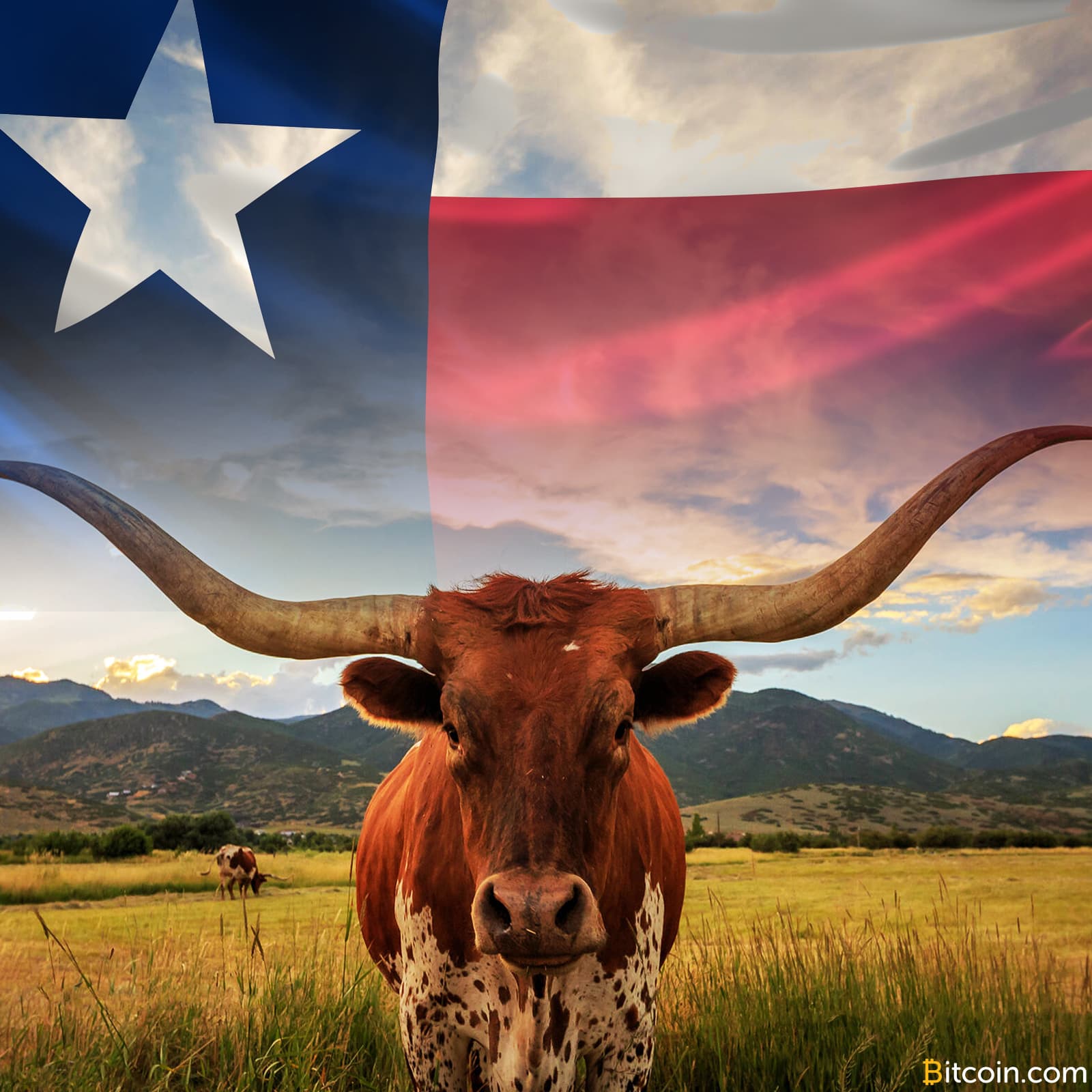 Texas Updates Regulatory Guidance Regarding Cryptocurrency Activities