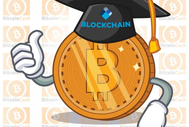 Blockchain.com Launches New Educational Resource With Bitcoin Cash Report