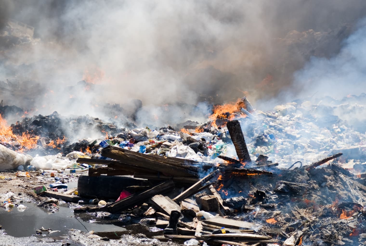 Bitcoin and Cryptocurrency Are 'Like a Giant Garbage Dumpster,' Says Minneapolis Federal Reserve President