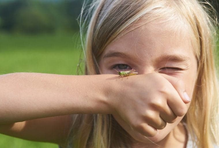 In the Daily: Coinbase Bug Bounty, Tradingview Crypto Dashboard, Bitfinex App Update