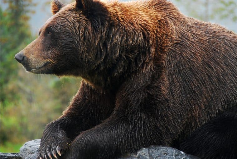 Up & Down: BTT Falls From Daily Gainers, Grin Sits Among Weekly Losers