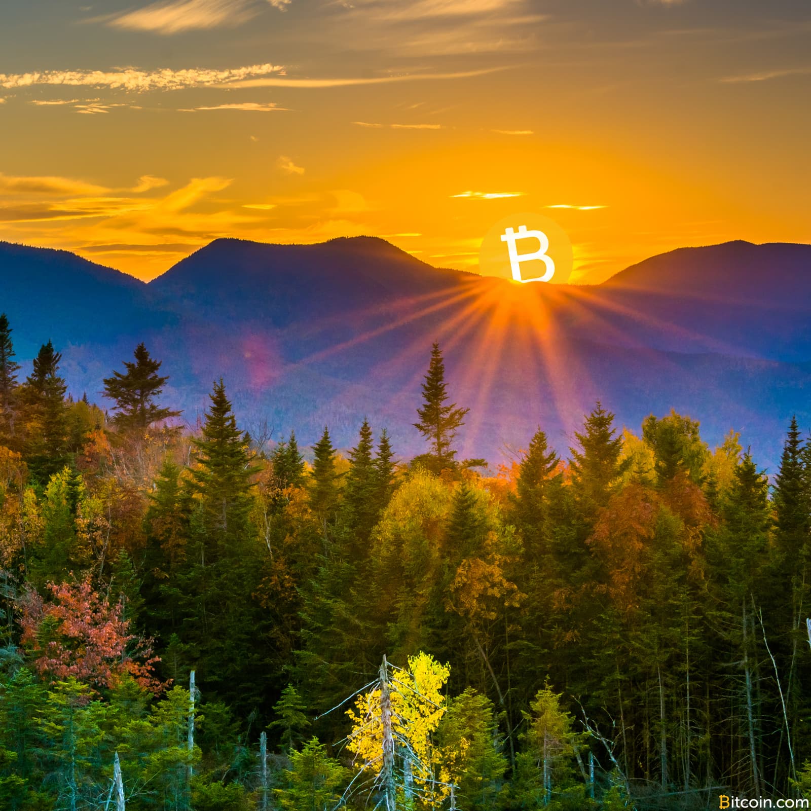 New Hampshire House Subcommittee Approves Bitcoin for Taxes Bill