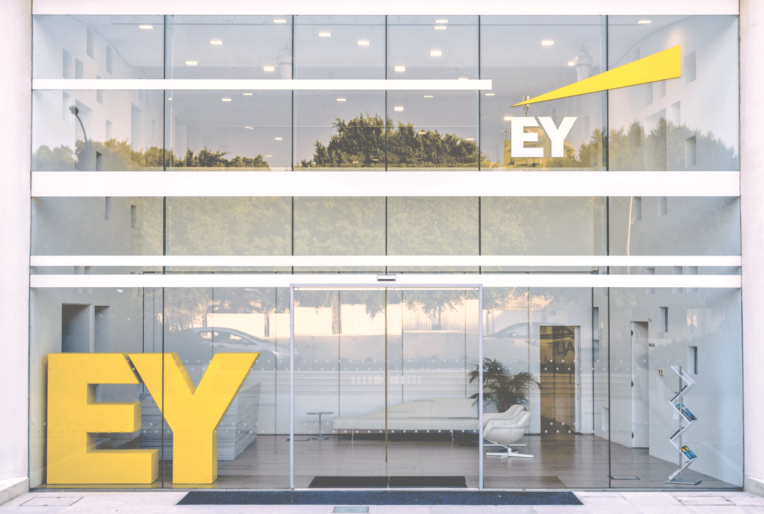 EY Executive Says Bitcoin Has No Practical Use in India