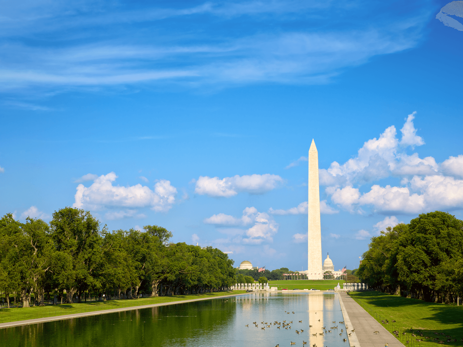 In the Daily: Cryptopia Resumes Trading, US Crypto Lobbying Intensifies, Visa Crypto Job