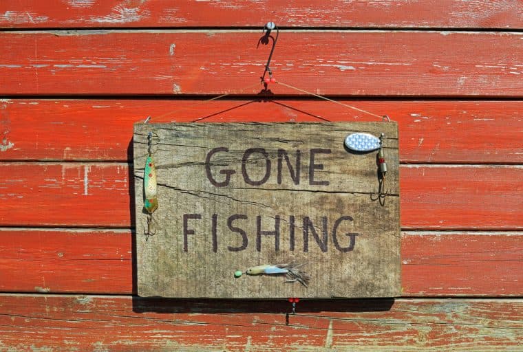 Reddit Roasts the IRS: Have America's Tax Collectors 'Gone Crypto Fishing'?